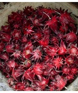 Roselle Hibiscus sabdariffa Dried 50 Grams ThailandMrk - $6.86 CAD