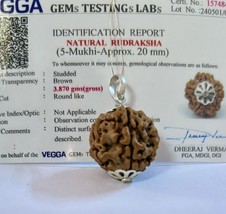 Ciondolo Rudraksh certificato Lab 925 + 5 Mukhi RUDRAKSHA, 20 MM, 5 facce - £13.31 GBP
