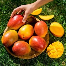 Item image 1 image 1