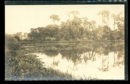 Vintage AZO Postcard RPPC Real Photo Swamp Trees 1919 Helen Andrews Genealogy - £11.67 GBP