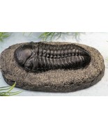 5 INCH TRILOBITE FOSSIL REPLICA RELIC LARGE INSECT CAMBRIAN SCULPTURE BU... - $24.70