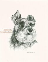 #229 SCHNAUZER lop ear portrait dog art print* Pen &amp; ink drawing by Jan ... - $12.50