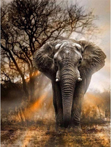 Wild Elephant Diamond Painting Kits for Adults - Elephant Diamond Art Ki... - £9.79 GBP