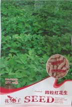 NEW 1 Original Pack, 10 seeds / pack, Chinese 4 pcs Peanut Seeds in one Shell wi - £5.15 GBP