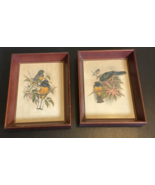 Set of 2 - Antique John Gould Hullmandel &amp; Walton lithograph Trogon Bird... - $3,680.35 MXN