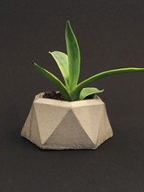 Concrete Succulent Planter - Facet - Plain - $18.00