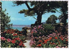 France Postcard Cote D&#39;Azur French Riviera Flower Gardens - $2.96