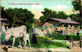 Vtg Postcard 1910s - A Southern California Mountain Home - Van Ornum Pub Unused - $23.71