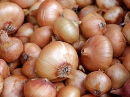 120 Walla Walla Onion Open Pollinated Heirloom Vegetable Seeds - £14.09 GBP