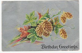 Vintage Postcard Birthday Pinecones Silver Background 1910 - £5.44 GBP