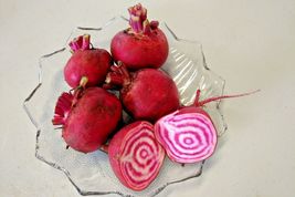 100 CHIOGGIA BEETS Seed Italian Heirloom Vegetable - £6.15 GBP