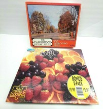 Qty 2 500 + Pc Puzzle Autumn in historic williamsburg &amp; Fresh fruit - $9.89