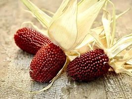 25+ Strawberry Popcorn Corn Seeds Vegetable Ornamental Corn Non GMO - £9.54 GBP
