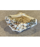 Vintage SeaShell Toothpicks NEW in Package made in the Philippines sealed - €17,35 EUR