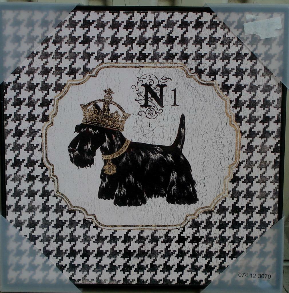 Primary image for Target Wall Art - 11.7" x 11.7" x 1.1" - Shaggy Dog - BRAND NEW  VERY CUTE