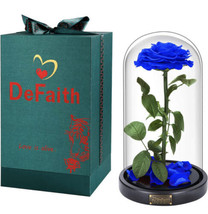 DEFAITH Upgraded Blue Real Rose 9&#39;&#39; Beauty and The Beast Rose in Glass Forever - £55.12 GBP