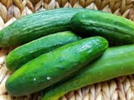 25+ Nebraska Cucumbers Seeds 54 Day Harvest Time Planting Vegetable Garden Cucks - £10.62 GBP