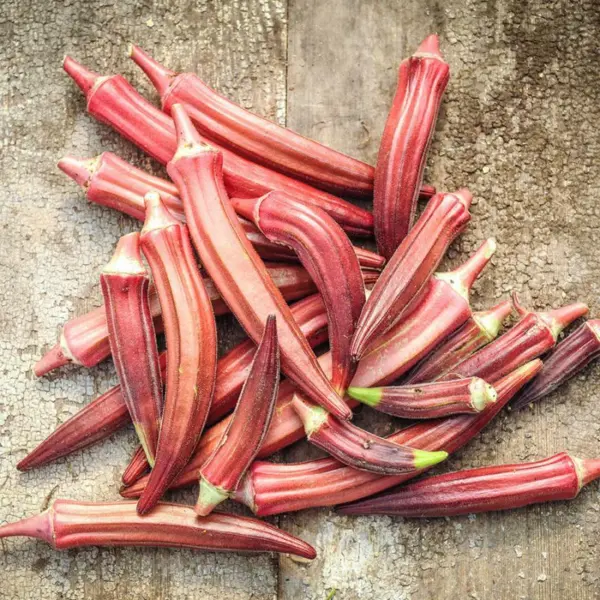 Okra Seeds Jing Orange 30 Ct Asian Vegetable Non Gmo Heirloom Usa Garden Fresh - £4.85 GBP