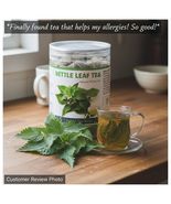 55-Count Nettle Leaf Tea, 100% Pure &amp; Natural Stinging Nettle Leaves Her... - $315.55 MXN