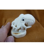 (TB-OCTO-26) white Octopus ball TAGUA NUT palm figurine Bali Oce reef oc... - $1,190.61 MXN