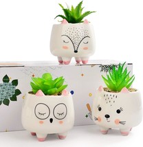 For Home And Office Décor, 3 Assorted Small Artificial Succulents Are Potted In - £28.41 GBP