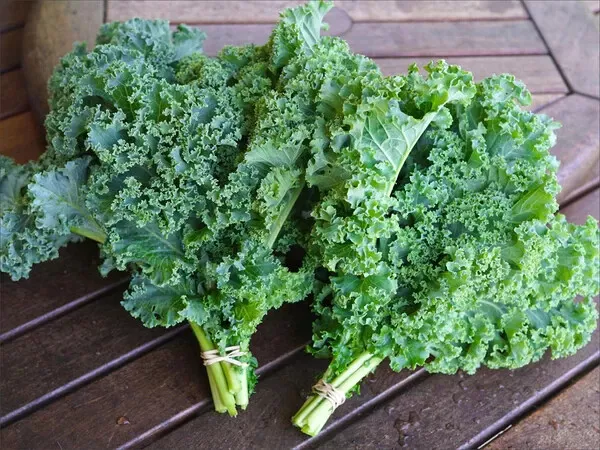 Kale 1Vegetables Seeds Summer Garden 15 - £5.38 GBP