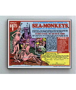 Framed FULL SIZE 1971 Sea Monkeys Toy Offer Vintage Restored Magazine Ad - £15.03 GBP