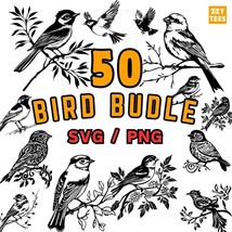 Bird Clipart Bundle SVG Png, Vintage Bird Illustrations, Hand Drawn Bird... - $2.98
