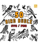 Bird Clipart Bundle SVG Png, Vintage Bird Illustrations, Hand Drawn Bird... - €2,54 EUR