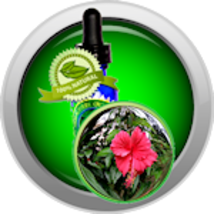 Hibiscus (Rosa Sinensis) Essential Oil - $5.00+