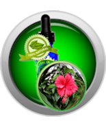 Hibiscus (Rosa Sinensis) Essential Oil - €4,29 EUR+