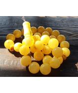  Rare Natural Baltic Amber Tasbih - 15mm 33 Beads - Butterscotch &amp; Royal... - $650.00