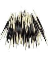 MMvolesy 10Pc Indian South African Porcupine Quill 3.5 5Inch - $632.70 MXN