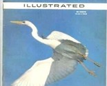 Sports Illustrated February 20 1956 Great White Heron on Cover - $13.86