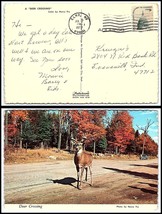 1977 NEVADA Postcard - Elko to Evansville, Indiana R4 - $2.96