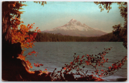 OR Rogue Mt. Hood Lost Lake Autumn Union Oil Scenes of the West Chrome P... - $6.36