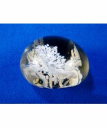 Glass Paperweight, Small 2.5&quot;/7 ounces ~ White Flowers &amp; Random Bubbles ... - $19.55