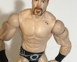 Sheamus Action Figure WWE Wrestler Wrestling T6 - $9.89
