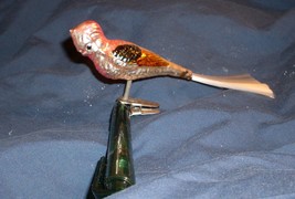 40&#39;s - 50&#39;s Mercury Glass Christmas Tree PARROT Ornament BIRD clips on W Germany - £26.16 GBP