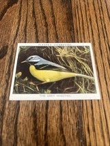 1937 John Player &amp; Sons Cigarettes Tobacco Card The Grey Wagtail Wild Bi... - $92.08 MXN