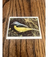1937 John Player &amp; Sons Cigarettes Tobacco Card The Grey Wagtail Wild Bi... - $92.08 MXN