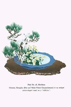 Oimatsu &amp; Shiragiku (Pine and White Winter Chrysanthemum) in an Antique ... - $19.97
