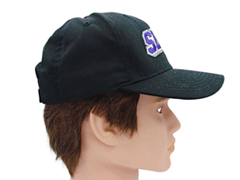 SBU Bearcats Southwest Baptist University Hat Baseball Cap Missouri Coll... - $22.12