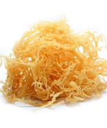 Rastarafi® Wholesale Sea Moss 12 Lb Bulk Irish Moss | Raw Wildcrafted Su... - $3,610.35 MXN