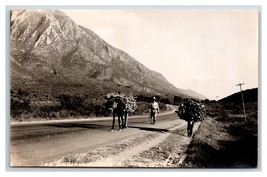 RPPC Man With Burros on Road To Santiago Baja California Mexico UNP Postcard H21 - $7.87