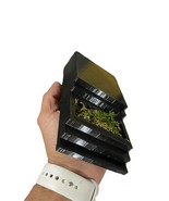 fingerboard Skateboard Obstacle stair Case With Moss - $28.76