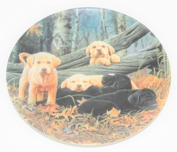 Collector Plate &quot;Sweet Dreams&quot; The Bradford Exchange Dog Days Collection... - $5.00