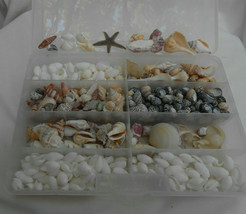 600 pc  sea Shells crafts jewerly Hebrew cone conch cowrie assorted simple white - £47.16 GBP