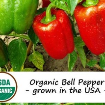 25 Organic California Wonder Bell Pepper Vegetable Seeds Fresh Gardening... - £7.95 GBP