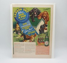 Canada Dry Dog Dachshund Spaniel Boxer Magazine Ad Print Design Advertising - $12.86